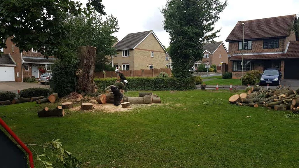 This is a photo of a tree that has been cut into sections on a communal area, and is now being removed from site. Works undertaken by NS Tree Surgery Witley